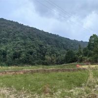 375萬噸/年!江西宜春國企競得當地灰巖礦