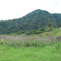 嚴(yán)厲打擊盜采盜挖礦產(chǎn)資源行為!國務(wù)院安委辦派出工作組明查暗訪