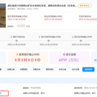 1.5元/噸!亞東水泥競得湖北武穴950萬噸/年砂石大礦
